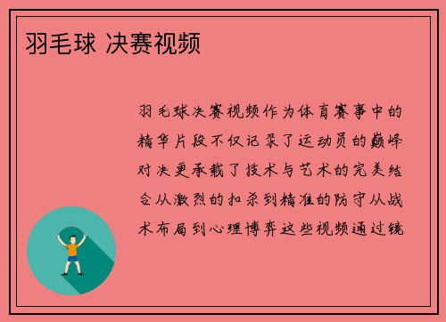 羽毛球 决赛视频
